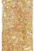 Disco Gold Glitter Pearl Back