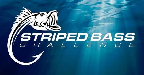Striped Bass Challenge