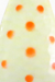 Glow White Flourescent Red Spots Nickel Back